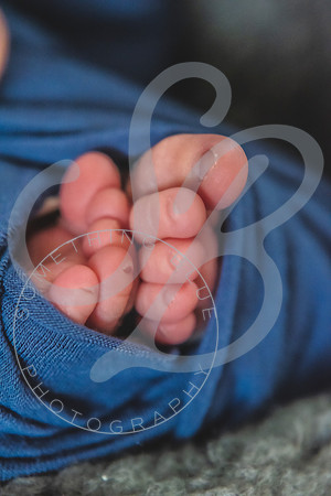 Liam - Newborn_072122_0430