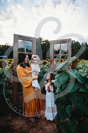 Sunflower Minis - Katelin_071222_0039